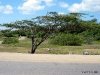 aruba2003-071