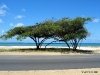 aruba2003-074