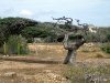 aruba2003-218