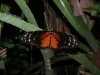 blijdorp-68