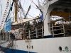 sail-den-helder-016