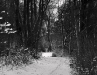 sneeuw2009-05a