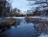 sneeuw2009-08a
