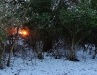 sneeuw2009-09a