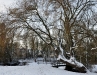 sneeuw2009-17a