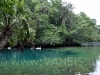 Hommosassa Springs State Park